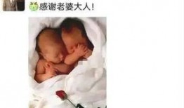 唐嫣最新爆料辟谣图片,最新爆料图片揭秘真相