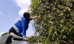 土家小木最新爆料,揭秘娱乐圈最新动态