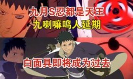 木叶情报会最新爆料重播,最新爆料重播背后的惊人真相