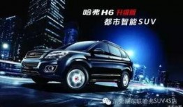 哈佛最新爆料新闻视频,最新爆料新闻视频深度解析