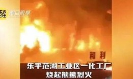 消防最新事件爆料新闻,揭秘火灾现场，紧急救援行动纪实