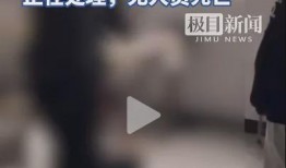 鹤壁最新爆料事件,揭秘事件背后惊人真相